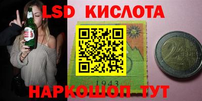 амф Кандалакша