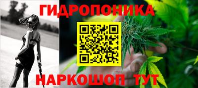 индика Камышлов