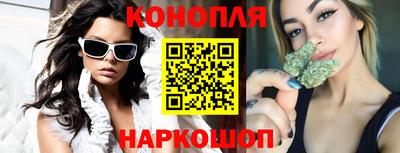 индика Камышлов
