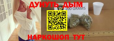 индика Камышлов
