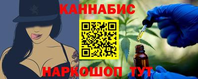 индика Камышлов