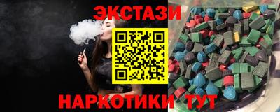 индика Камышлов