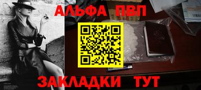 индика Камышлов