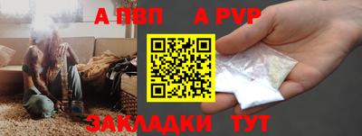 индика Камышлов