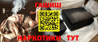 индика Камышлов