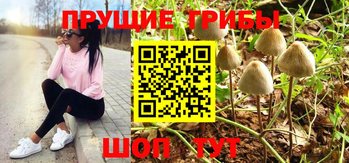 Галлюциногенные грибы Psilocybe  Вход с VPN  Краснокаменск  как найти закладки  Псилоцибиновые грибы MAGIC MUSHROOMS 